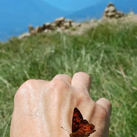 Hébergement de vacances Casina Rossa *